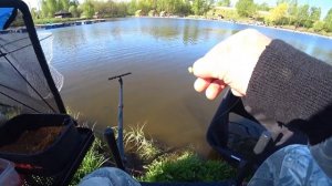 Форель! Карп! Пикер на платнике, май 2021!