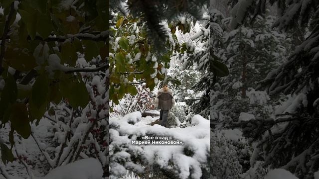 Дарим подарки! Подробности в описании смотреть онлайн