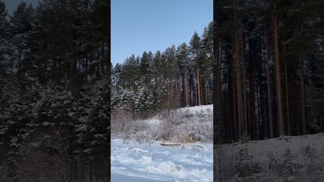 Зимняя Унжа. Лёд на реке. смотреть онлайн