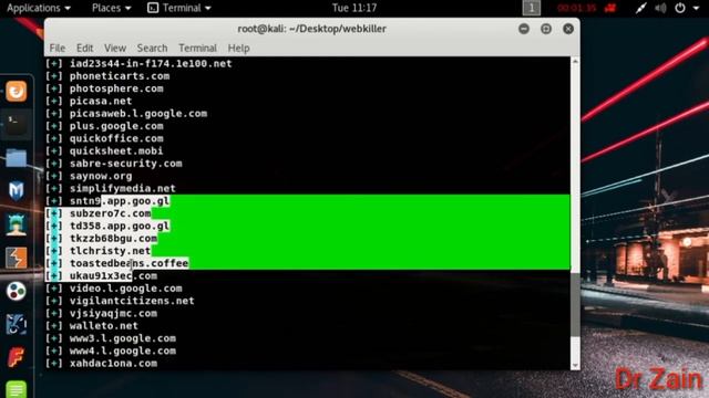 WebKiller | Get Full Information About Any Website | Toxic Stalker смотреть онлайн