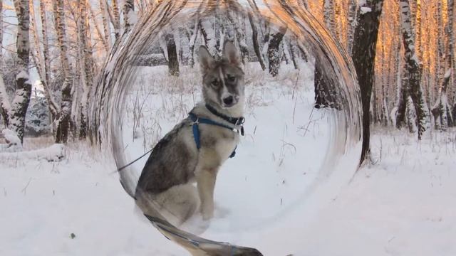 Это я Макс смотреть онлайн