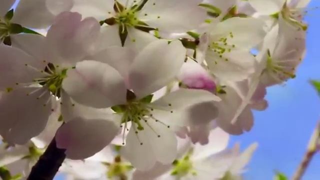 В этот час смотреть онлайн