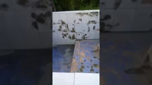 Бассейн для дома построил сам своими руками смотреть онлайн