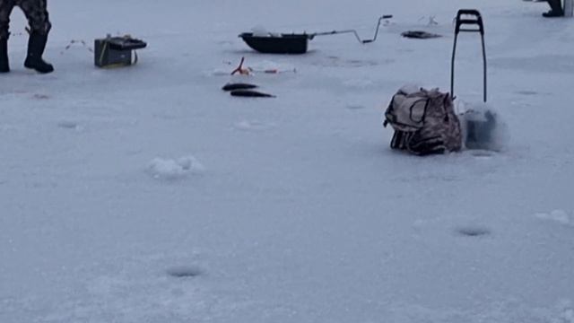 24-12-2024 смотреть онлайн