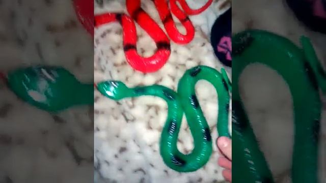 Новые змеи. Посылка! смотреть онлайн