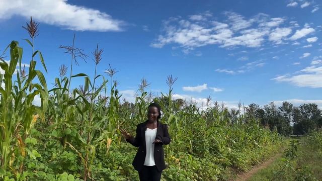 Residential investment land for sale in Rwanda. For apartments, Airbnb and town houses. смотреть онлайн