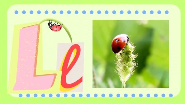 Learn  About Animals For Kids | Farm Animals , Animal Sounds , Fun Guessing Games