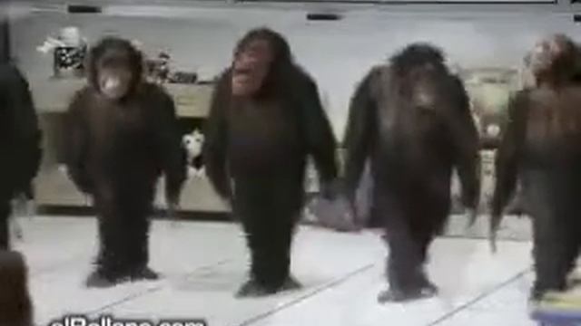 Обезьяны Рулят! смотреть онлайн