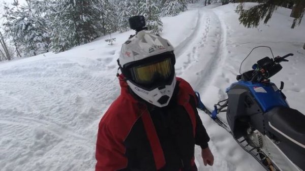 Подписчик тестирует Stalker