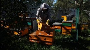 УЛЕЙ ДЛЯ ОТДЫХА В ЛЮБОМ ВОЗРАСТЕ