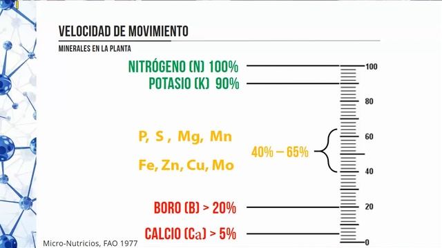 Nutrición balanceada de los citricos смотреть онлайн