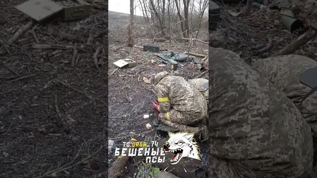 Покровское направление смотреть онлайн