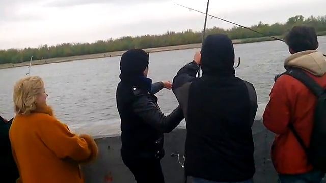 Видео с Астраханского фестиваля "Вобла-2017" смотреть онлайн