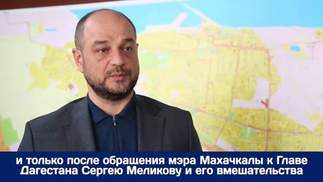 Власти Махачкалы указывают на недостаток средств, выделяемых городу на обращение с бродячим собакам