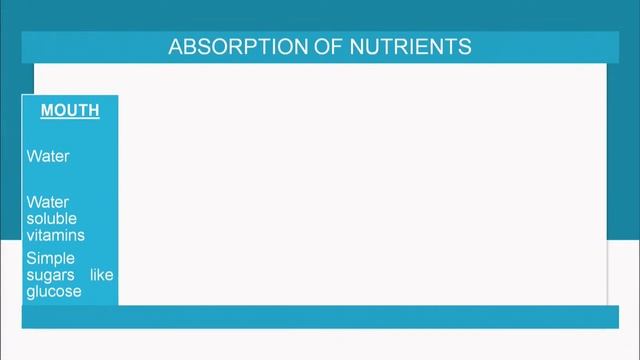 NIOS Class 12 Biology (314): Lesson 13. Nutrition and Digestion (Part 2) смотреть онлайн