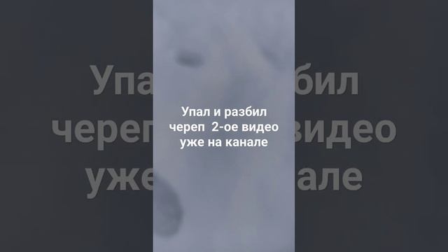 #приколы #подпишись #meme #мем #standoff #кот #gaming #карусель #амон #мемы смотреть онлайн