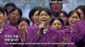 Двигаемся вперед с любовью ИР