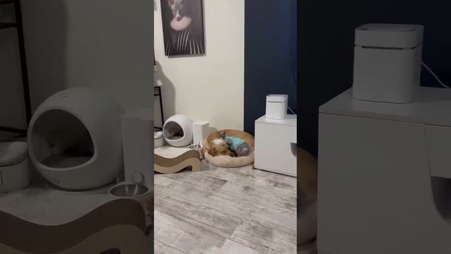 Дени сделали операцию смотреть онлайн