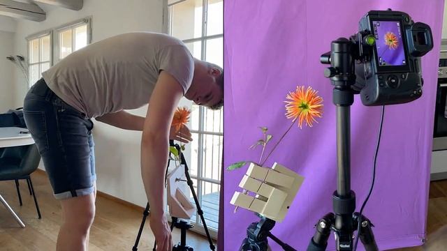 Flora Grafica | Artist process Jesper Krijgsman смотреть онлайн