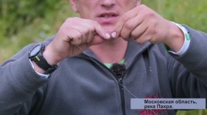 Донная ловля для начинающих. ловля леща