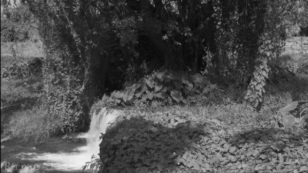 01. Генри Нувен. Внутренний голос любви.