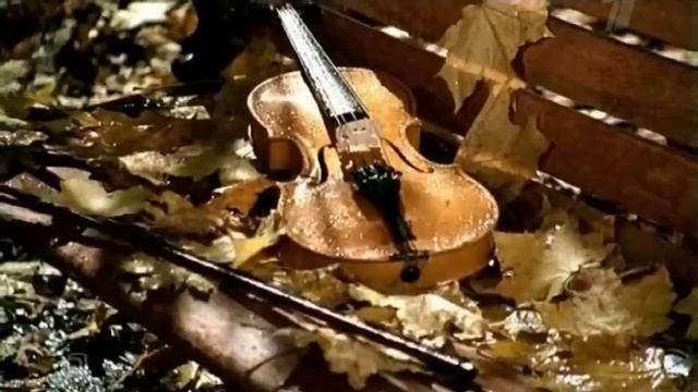 Сегодня свой день рождения празднует 🥳 смотреть онлайн