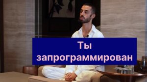 Ты запрограммирован. Так устроена Система