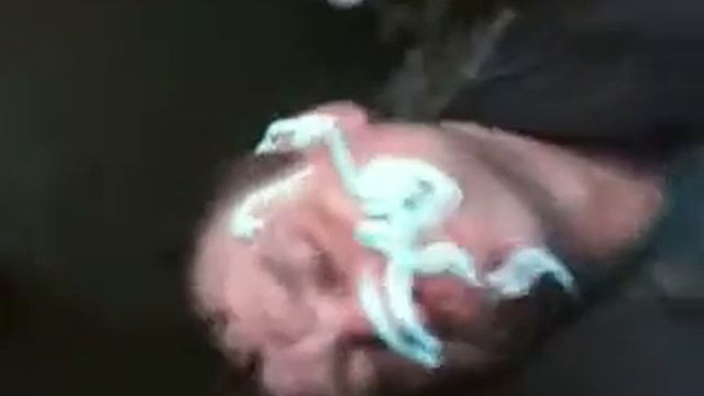 шокирующий алкаш смотреть онлайн