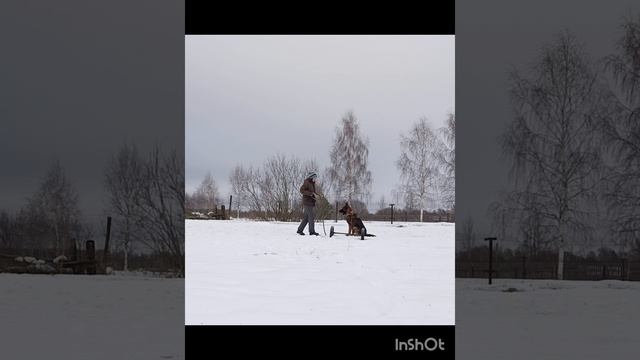 ДИК НАЙТ ЭЛЬ'ТАЙМ ВЕТТЕРХОРН 8 месяцев. смотреть онлайн