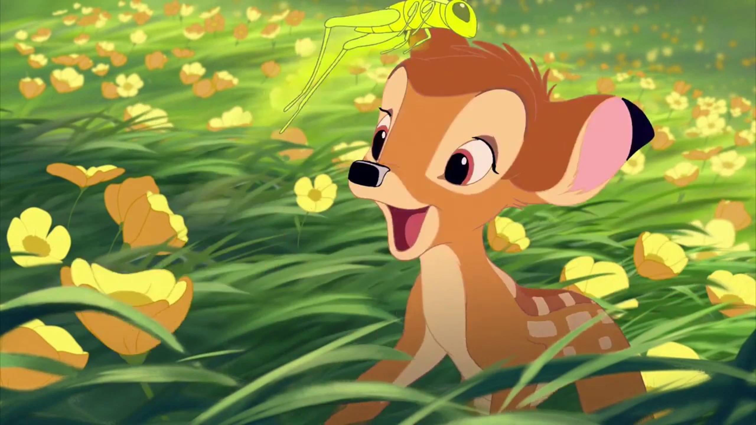 Солнечный зайчик - Наталия Лансере - песня для детей смотреть онлайн