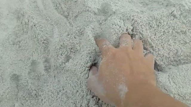 Membersihkan mainan hewan darat anjing paw patrol, panda, beruang, ikan hiu, zebra,kuda nil