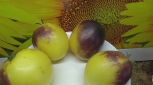 Новинки томатов 2023 года. Томат Блюз на блюде - экзотические помидоры с нежной мякотью. Дегустация.