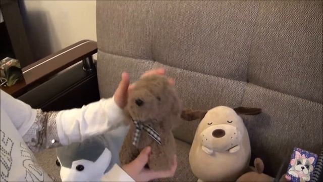 Коллекция СОБАЧЕК!