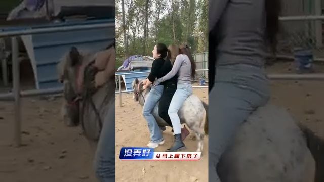 Triple Pony Riding donkey смотреть онлайн