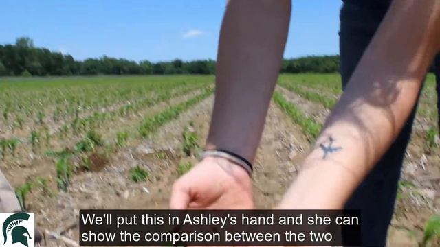 2019 Video Series Episode 5: Asiatic Garden Beetle and Weeds смотреть онлайн