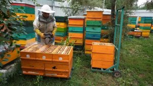 УЛЕЙ ДЛЯ ОТДЫХА