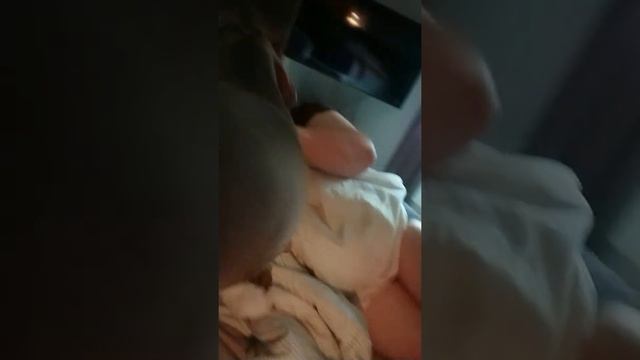 Веймаранер Дарья играет смотреть онлайн