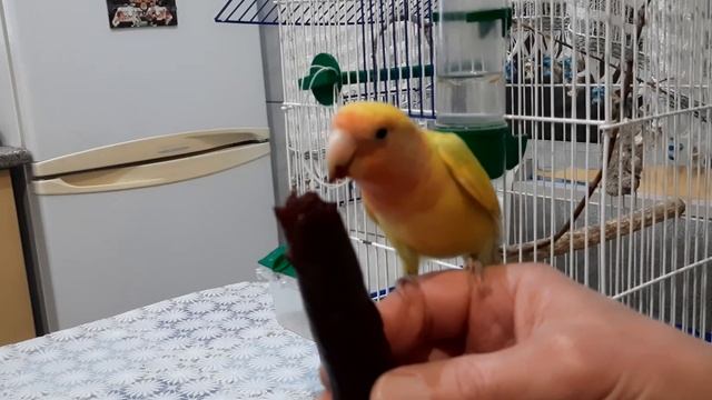 Такая вкусная и полезнвя пастила. смотреть онлайн