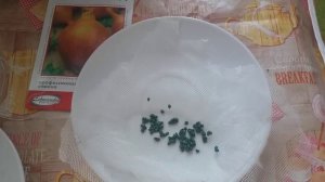 Посев лука Эксибишен двумя способами. Эксперимент