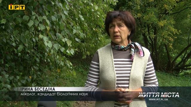 ТОП-5 причин НЕ ходити до лісу по гриби смотреть онлайн