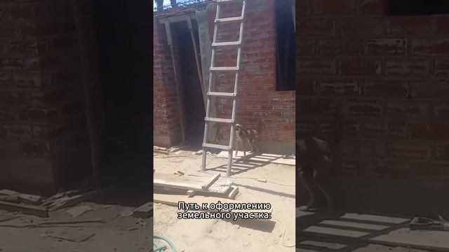 Освоение земельного права - это совсем не просто Вебинар: https://zemlya007.ru/vebinar?utm_medium=ss смотреть онлайн