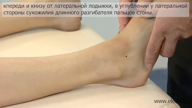 Судороги нижних конечностей смотреть онлайн