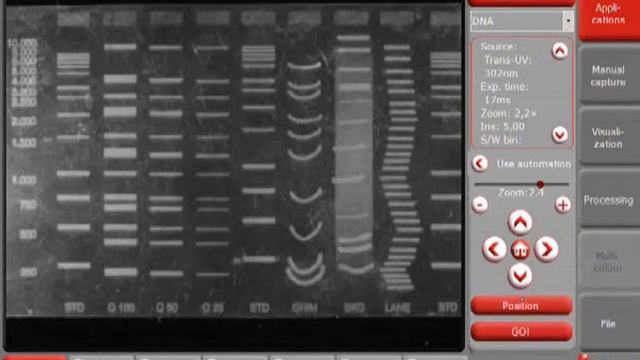 Proxima 2000 series; gel and blot imaging system смотреть онлайн