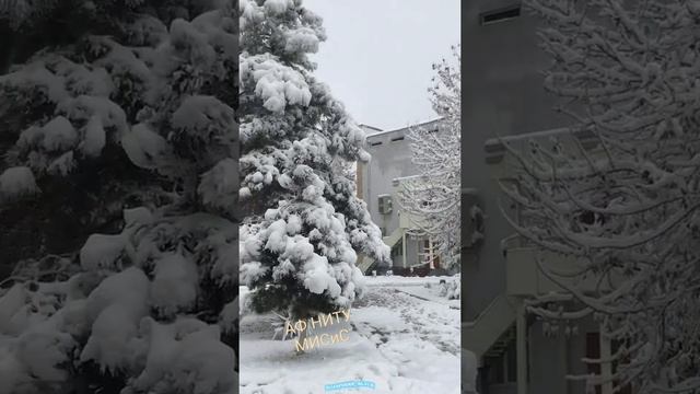 Зима2021.АФ НИТУ МИСиС смотреть онлайн