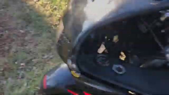 1998 Honda CBR900 parts for sale NJ смотреть онлайн