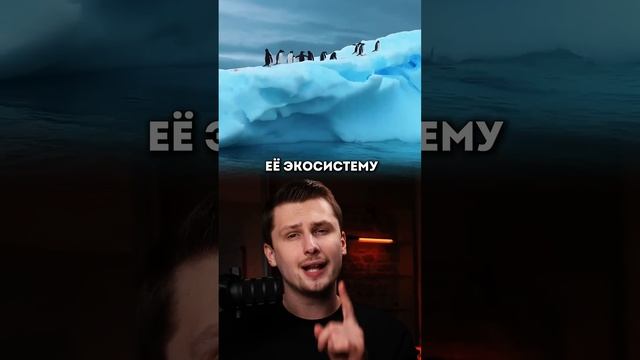 Почему все хотят ресурсы Антарктиды смотреть онлайн