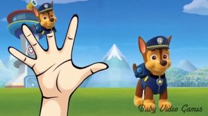 Paw Patrol Finger Family Songs | Nursery Rhymes for Children and Kids