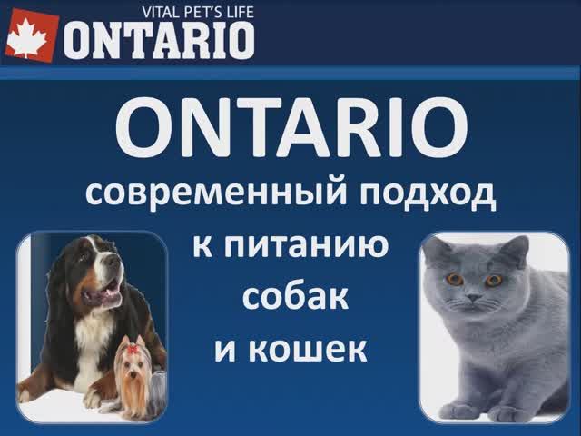 Презентация корма Ontario смотреть онлайн