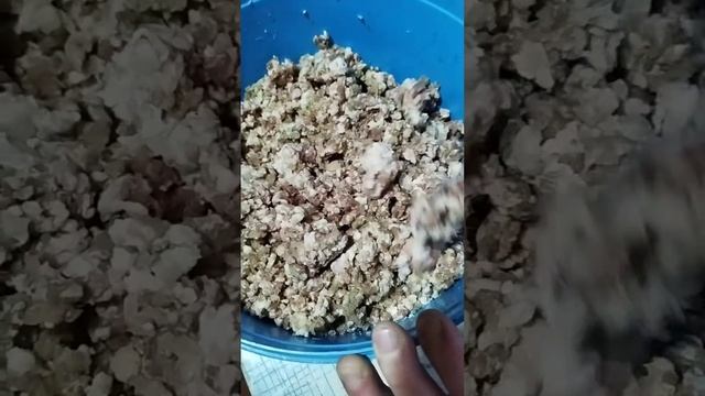 самодельные ПЕЛЬМЕНИ!!! смотреть онлайн