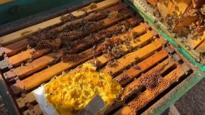 КАК ДЕЛАТЬ СИЛЬНЫЕ СЕМЬИ